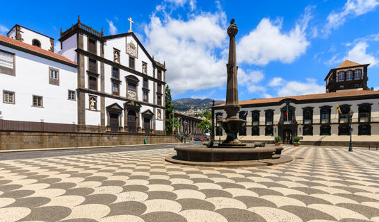 HOTEL QUINTA DA SERRA BIO HOTEL Câmara de Lobos