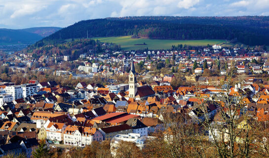 HOTEL HOFGUT HOHENKARPFEN Hausen ob Verena