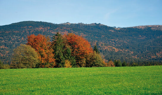 FERIEN- UND APARTHOTEL HAUS BAYERWALD Neureichenau