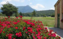 GOLF RESORT DIGNE-LES-BAINS BY ADONIS Digne-les-Bains