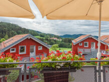 VILLAGE HOTEL BAYERISCHER WALD Neukirchen (BA)