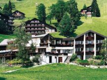 HOTEL CRISTAL Braunwald